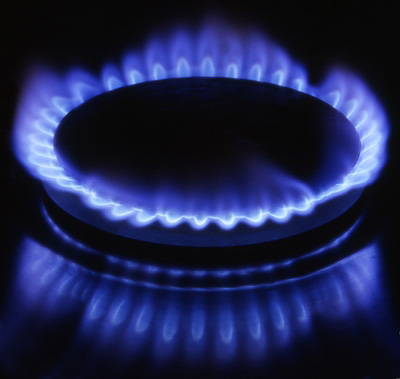 ¿Qué es el Biogas?