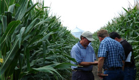 Dow, agrosciences  quiere radicarse en Córdoba