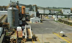 Presentaron amparo contra la radicación de la semillera Monsanto