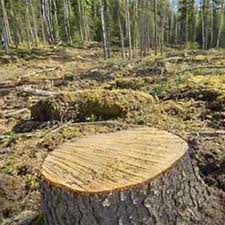 Un récord que no enorgullece a nadie