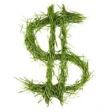 Pnuma presentó la guía para la economía sostenible