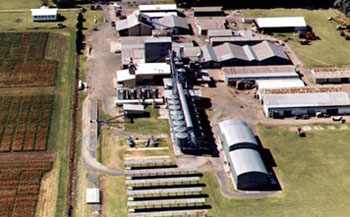 Dow, entre las 10 más sostenibles de la Argentina