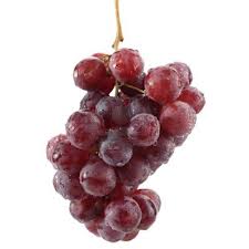 Viñas Chilenas certifican sustentabilidad