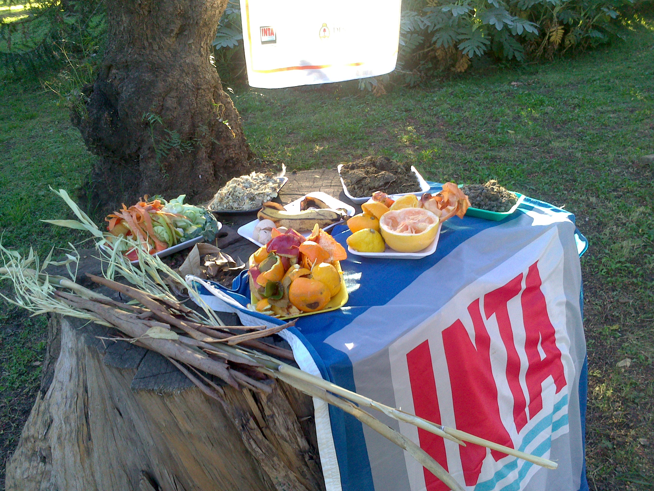¿Cómo hacer un compost en casa? con ingenieros del INTA