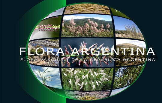 Plantas vasculares, inventario made in Argentina