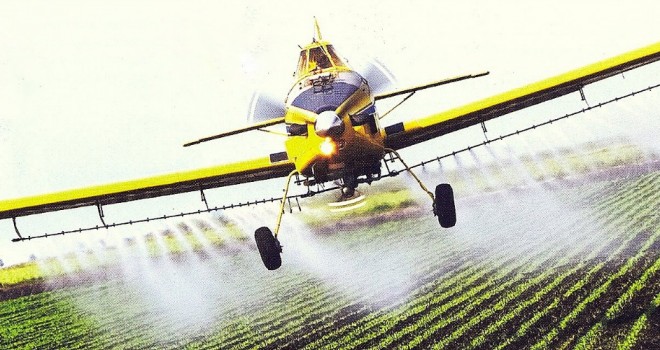 Pesticidas aumentan pérdida de biodiversidad