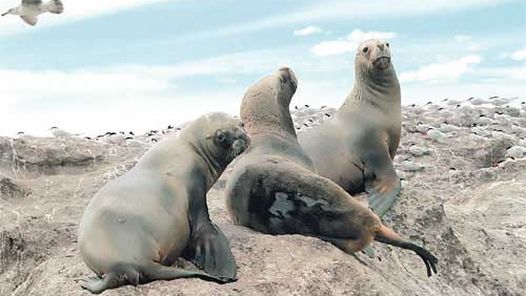 Argentina, entre los 10 países más ricos en recursos naturales