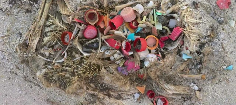 El plástico invade las Islas Aleutianas