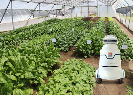 Inteligencia artificial para los invernáculos Argentinos