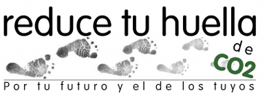 Biodiesel para el rock and roll