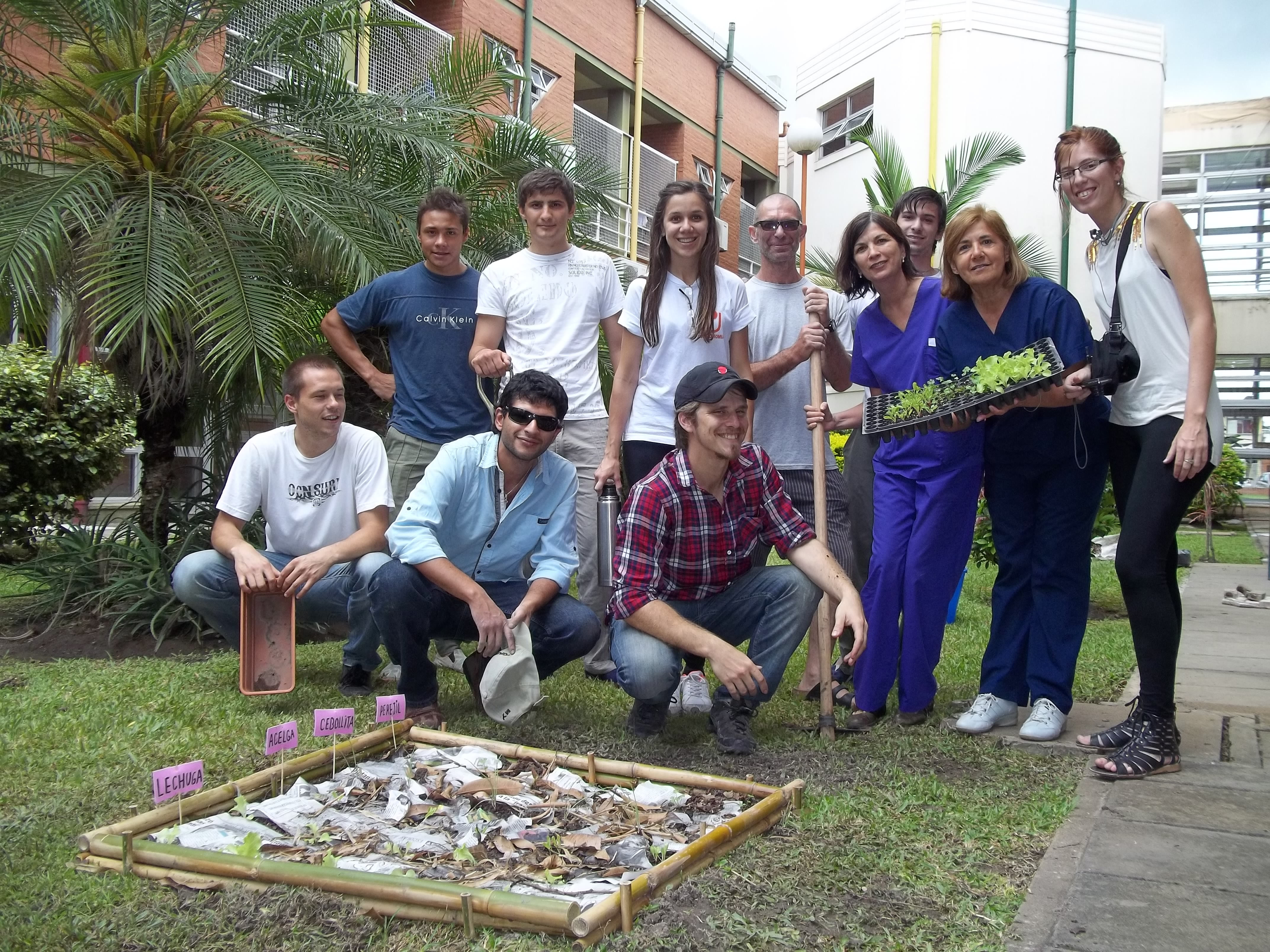 Hospital comestible