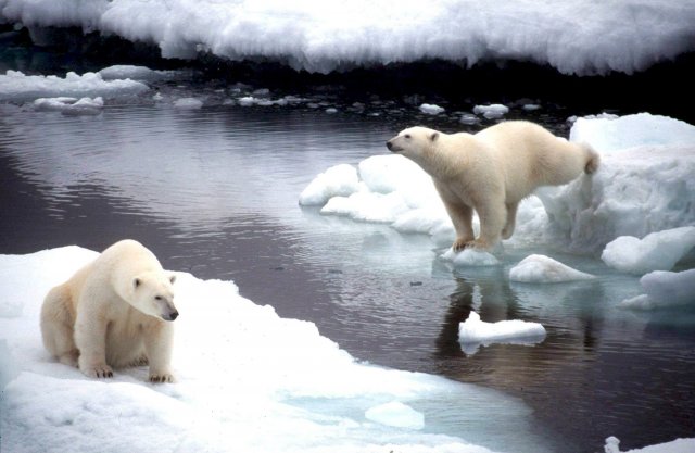 La capa de hielo de los lagos de Alaska disminuyó un 22 % en veinte años