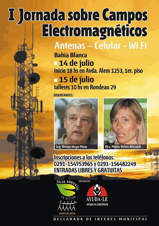 I JORNADAS SOBRE CAMPOS ELECTROMAGNÉTICOS
