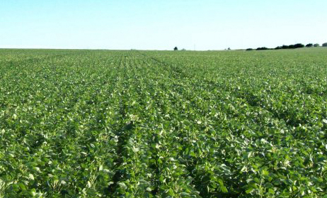 Miden el impacto de la agricultura argentina en el calentamiento global