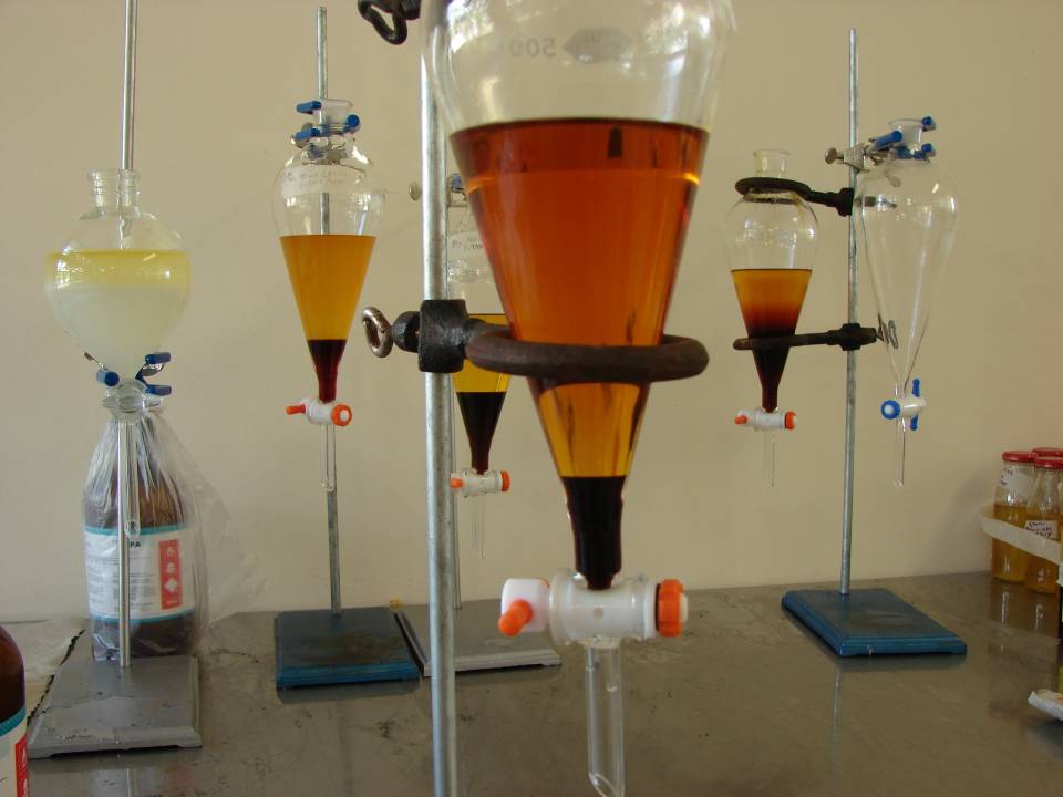 Convierten Grasa de pollo en biodiésel