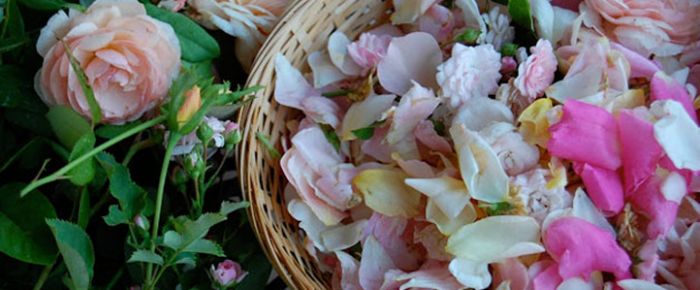 Cómo sacar los malos olores de nuestros hogares