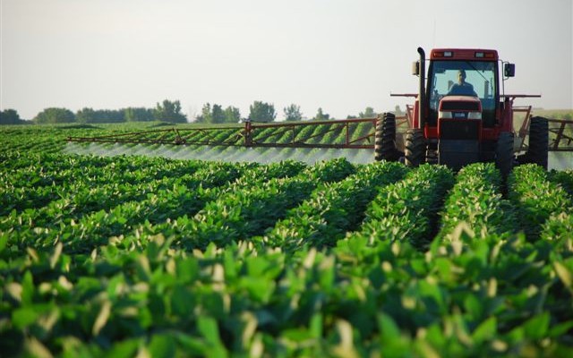 Plaguicida ecológico para granos, Ozono vi