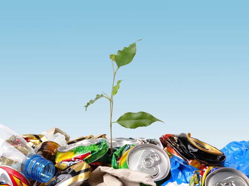 Reducir, reciclar, reutilizar a repensar los hábitos