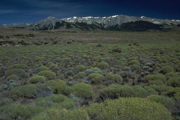 Estudiar el suelo y la biodiversidad de la Patagonia