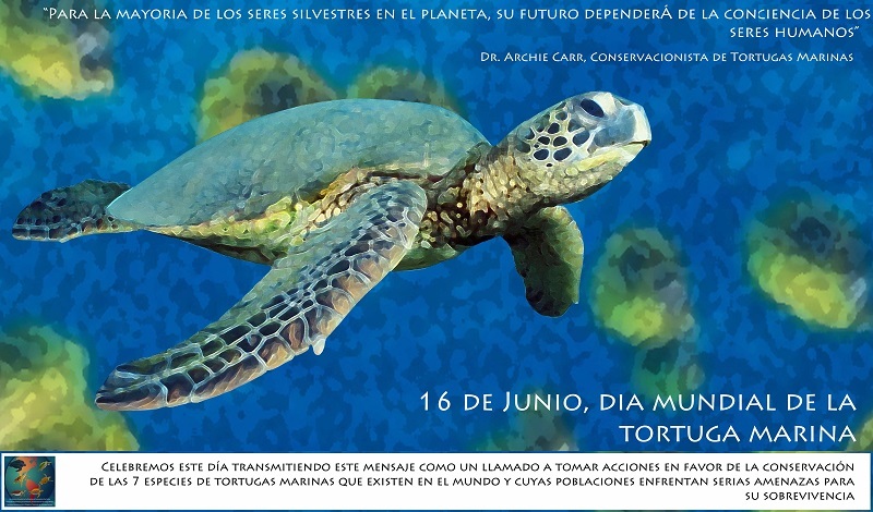 Día de las Tortugas Marinas en Cnel.Rosales