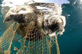 Recuperación de redes de pesca perdidas