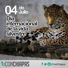 Día Internacional de la Vida Silvestre