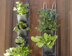 Huerto urbano: sacos de cultivo