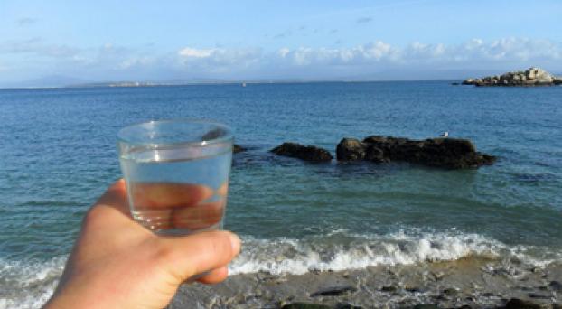 Desalinizar agua es mas barato.