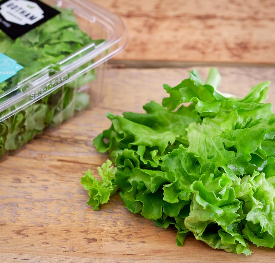 Mayor parque del mundo sobre una azotea: con cultivos sin pesticidas