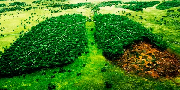 Medio ambiente el gran ausente del debate.