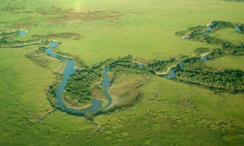 Corrientes el mega parque natural.