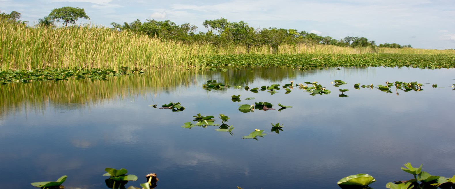 Adolescente gana $100000 para el nuevo sistema de purificación de agua