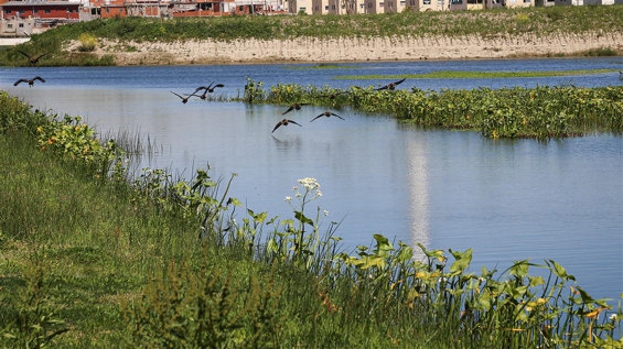 Lago Soldati recuperado.