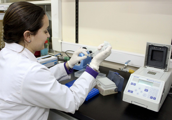 Transformar residuos cloacales en biocombustibles