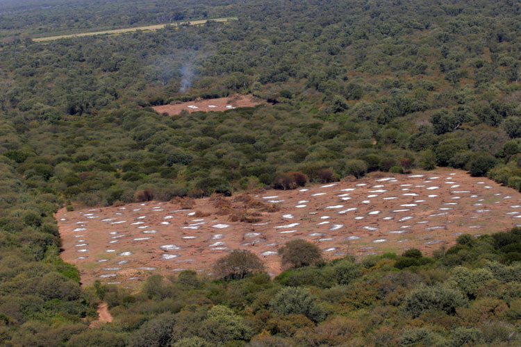 Deforestación culpable de las inundaciones.
