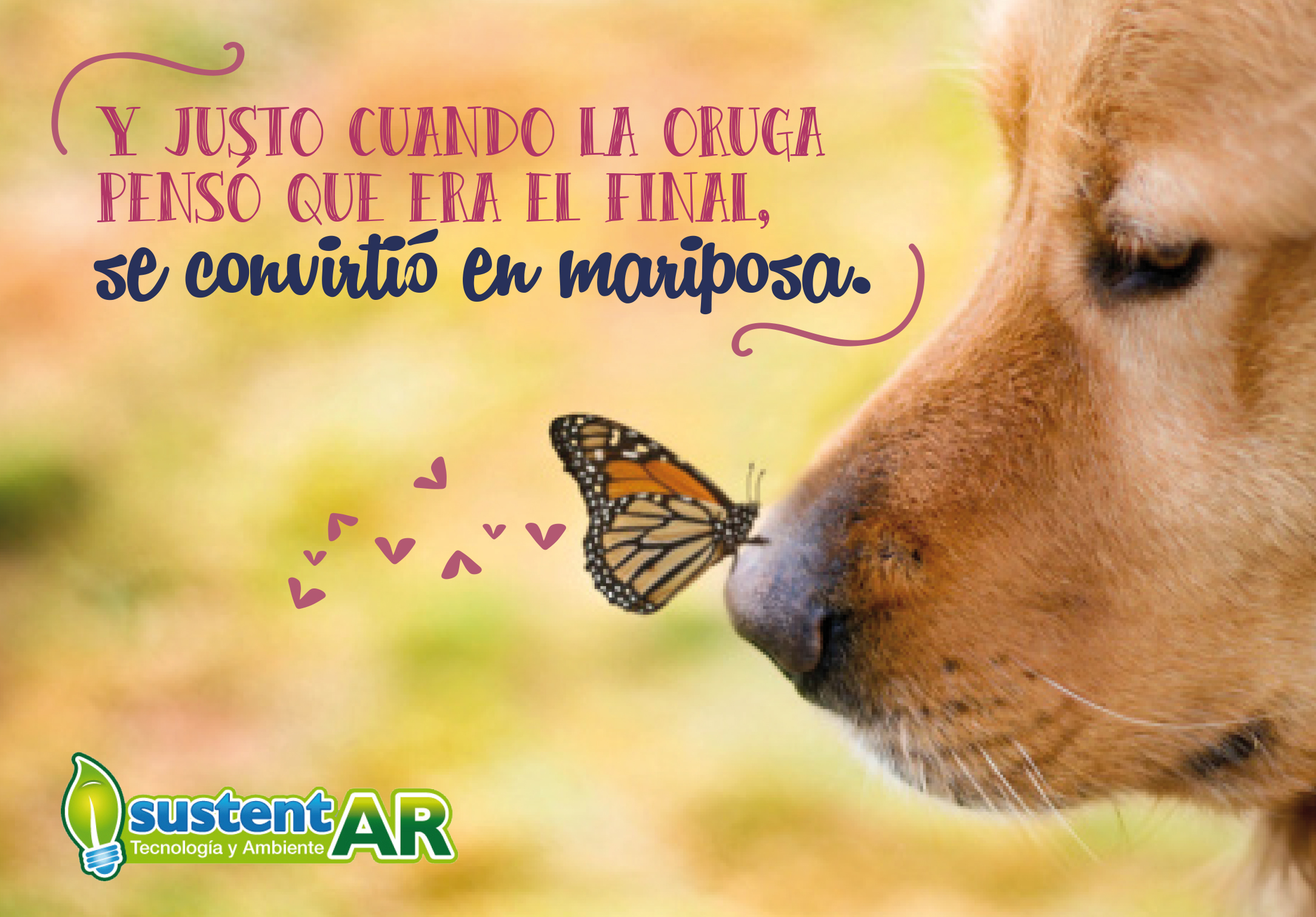 Y justo cuando la oruga…