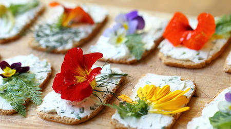 Guía de flores comestibles que deberías a animarte a probar