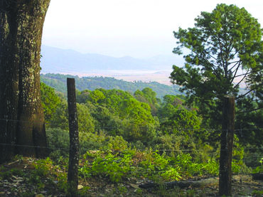 Hidalgo: construcción de ordenamientos ecológicos