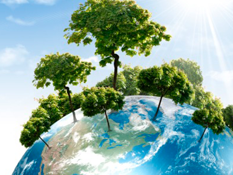 Mediación Preventiva en el Ordenamiento Ambiental