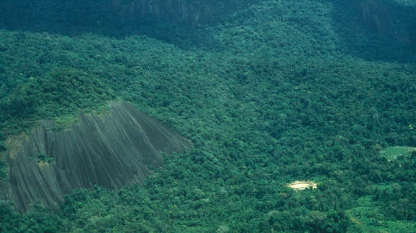 Pueblos indígenas: guardianes de la naturaleza