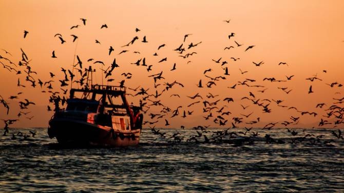 Pesca ilegal: 1er Tratado Mundial entra en vigor