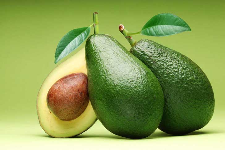 Obtienen compuestos a partir de residuos de mora y palta