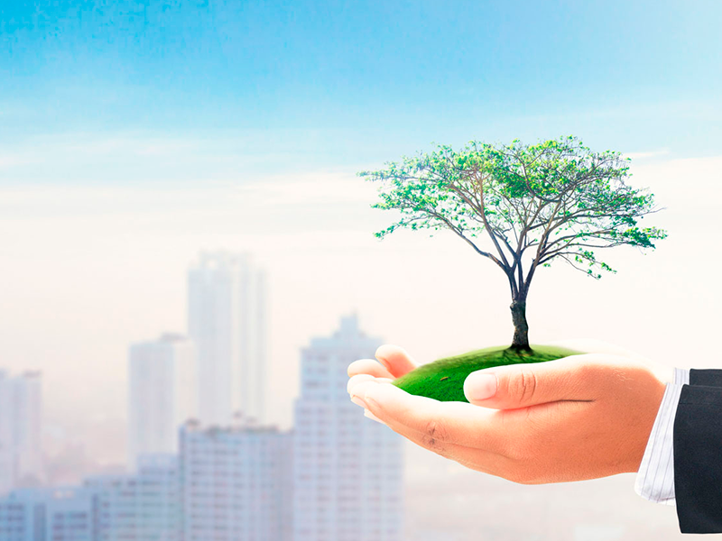 Función socioambiental en el ejercicio de los derechos individuales