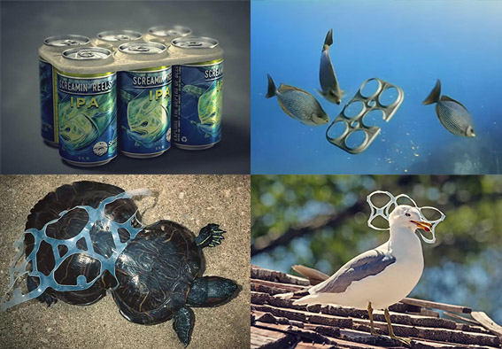 Anillos de latas ecológicos y comestibles para animales marinos