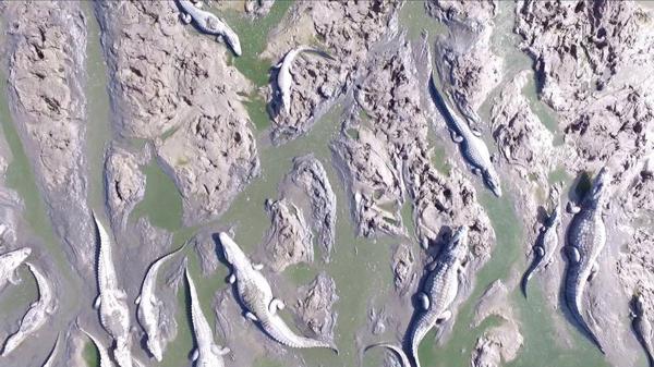 Río Pilcomayo en emergencia ambiental