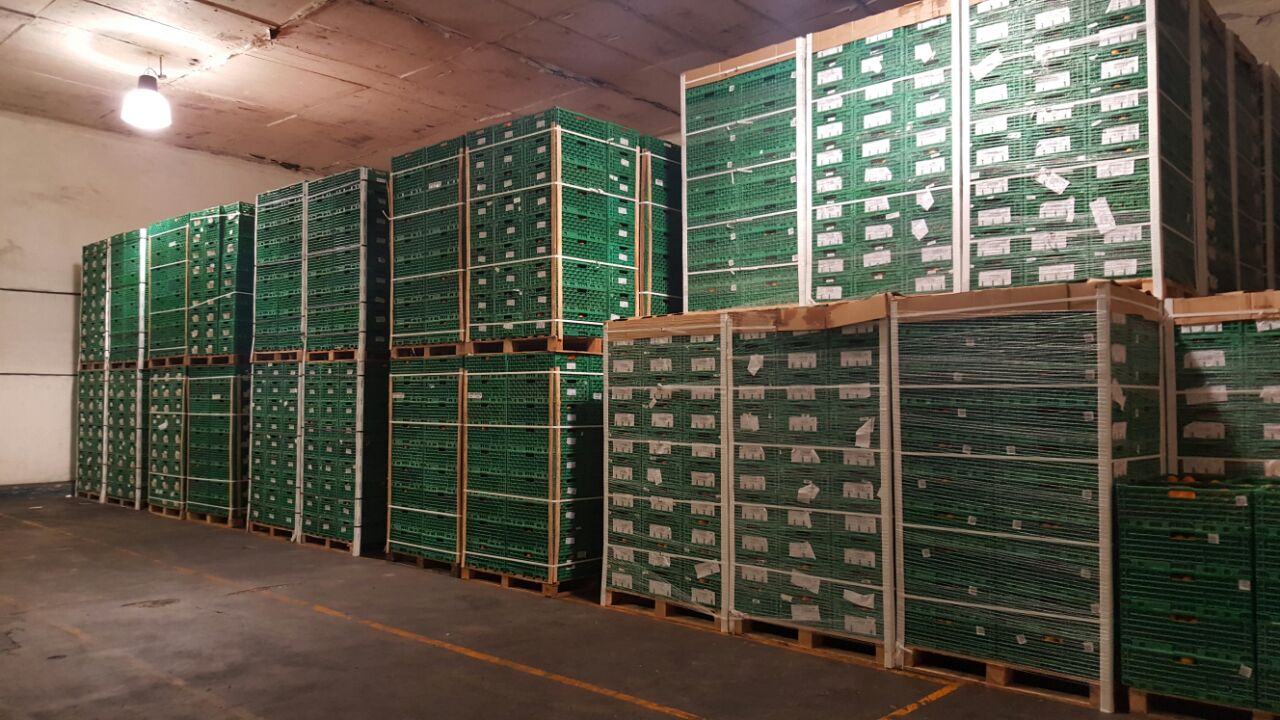 Bromuro de metilo, cómo nos afecta?