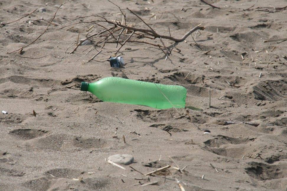 Limpiamos la Playa?