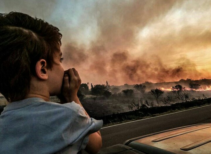 Fuego, crisis ¿respuestas?