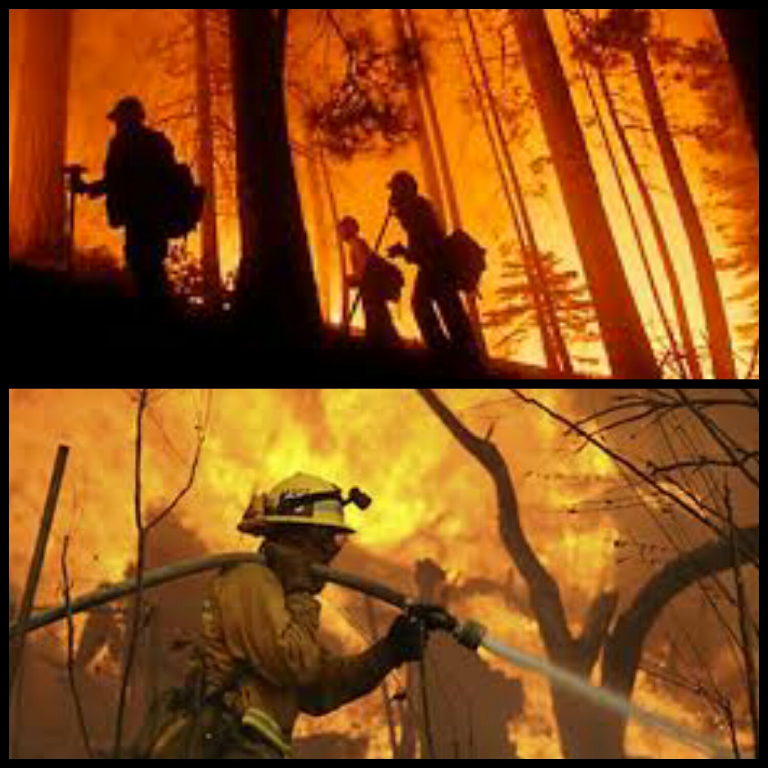 4 de mayo : Día Internacional del Combatiente de Incendios Forestales