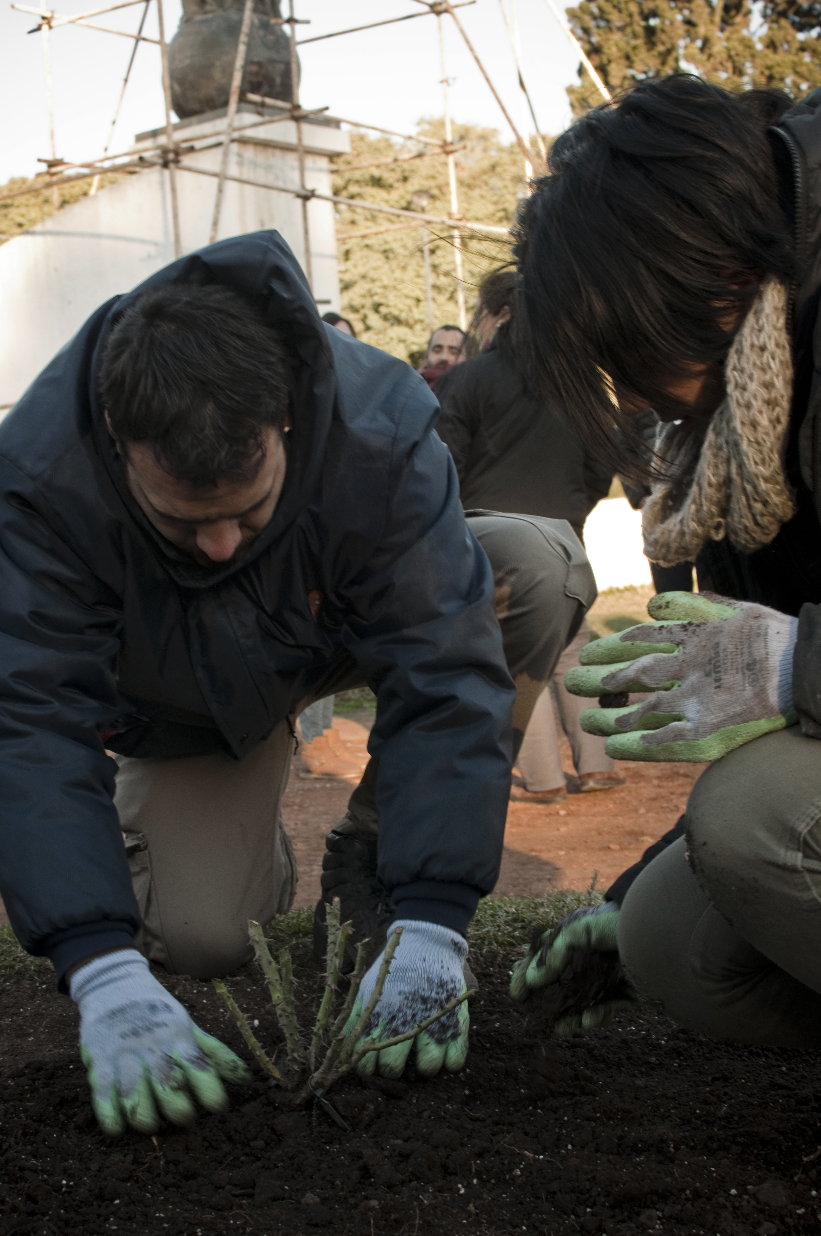 #Rosario: 7300 Rosas, 37 especies distintas